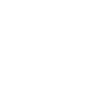 White Noise
